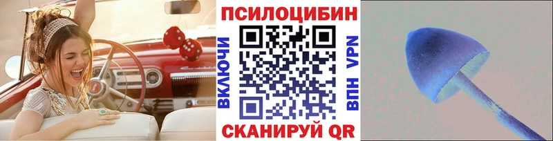 Купить где  Приморско-Ахтарск  Галлюциногенные грибы Psilocybine cubensis 