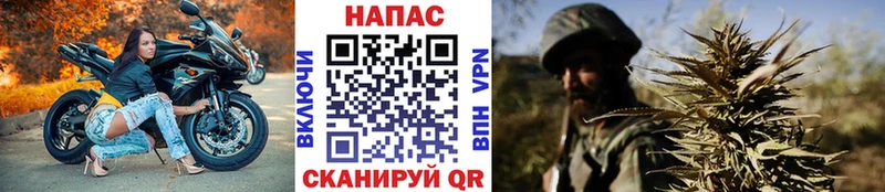 Купить закладки  Приморско-Ахтарск  Бошки Шишки MAZAR 